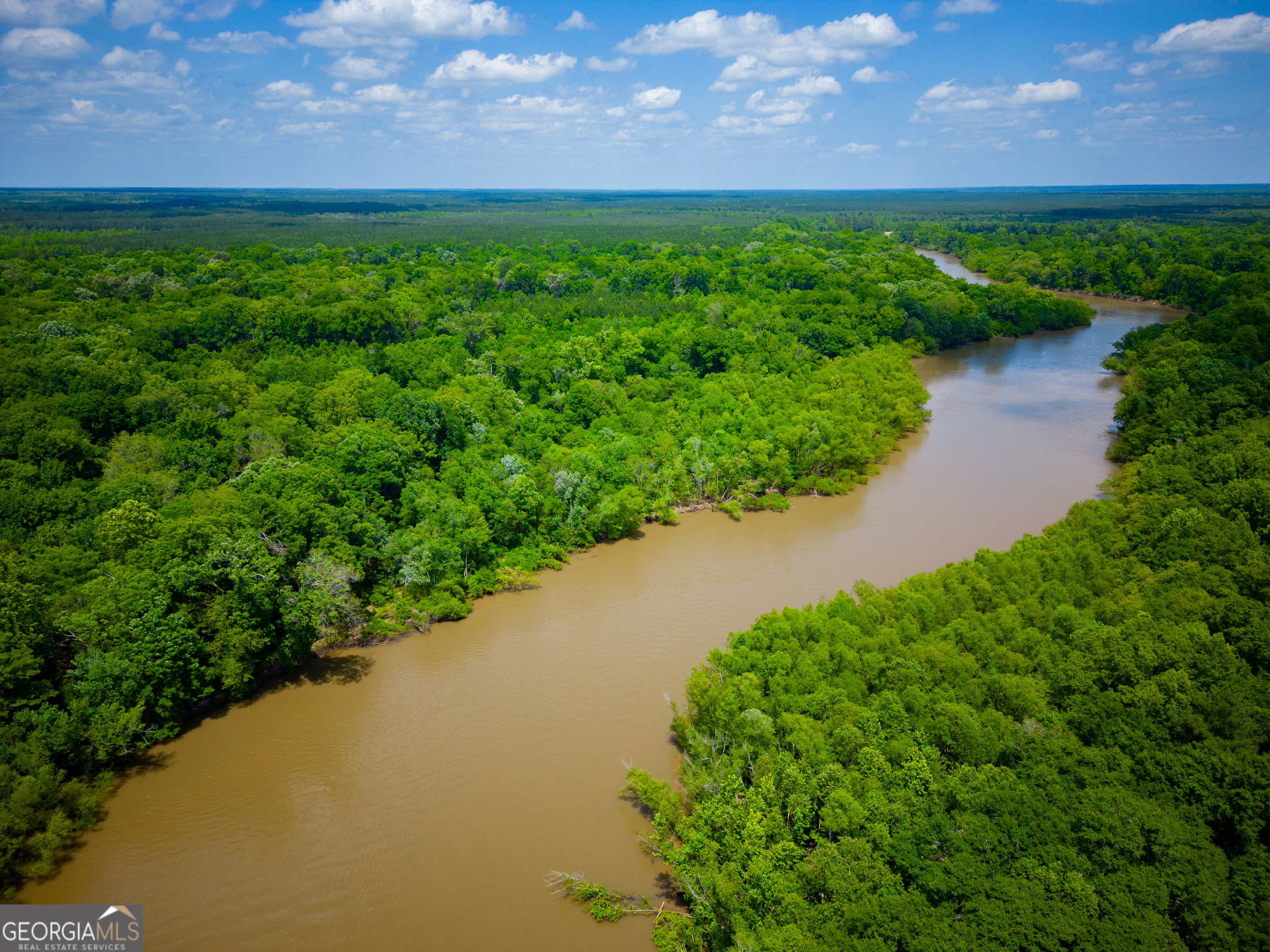0 East River Road Jacksonville, GA 31544 - Photo 32 of 34 a view of a lake with a yard