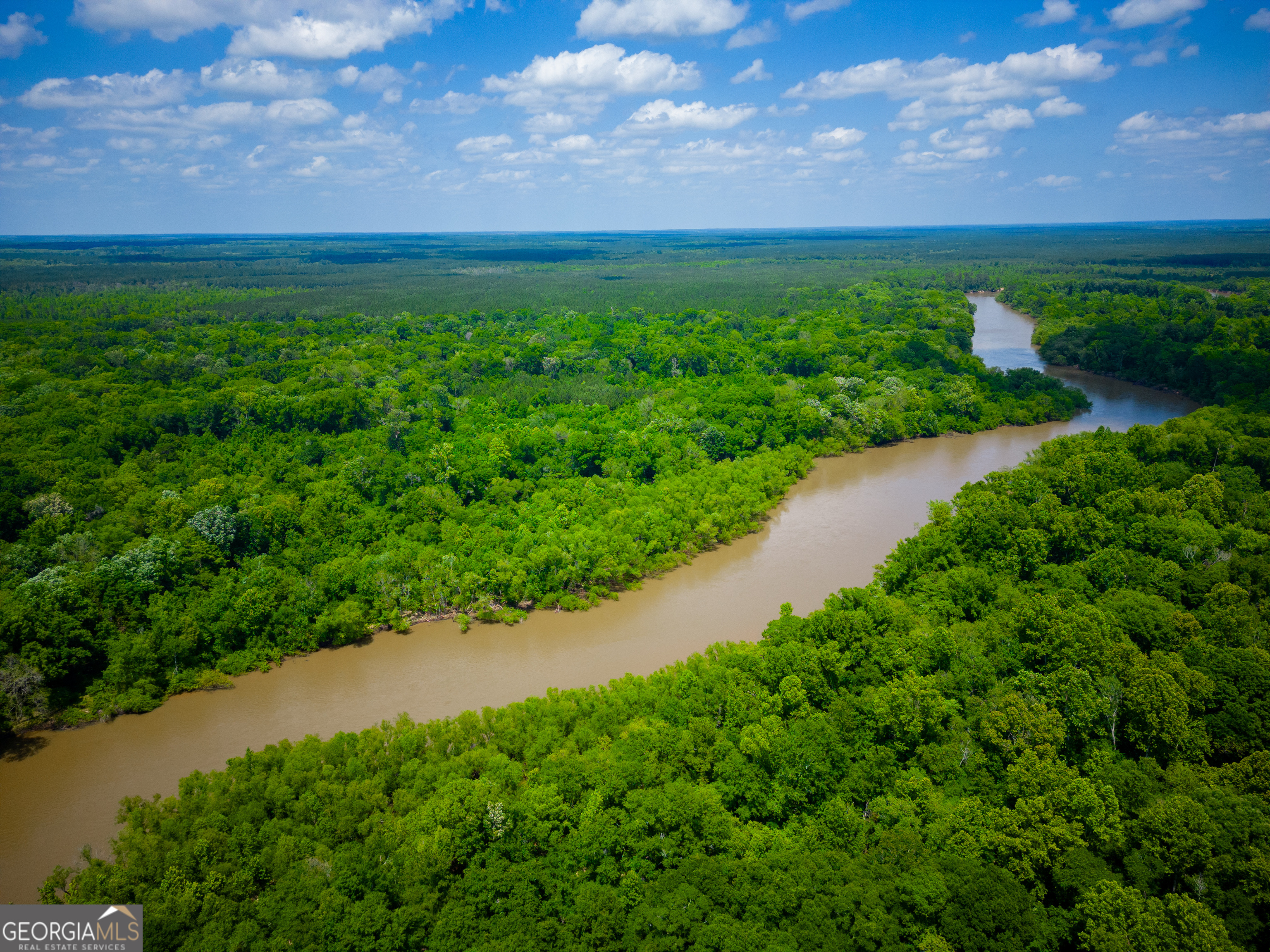 0 East River Road Jacksonville, GA 31544 - Photo 34 of 34 a view of a lake with a yard