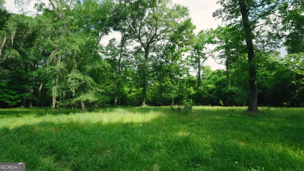a view of green field with trees in the background