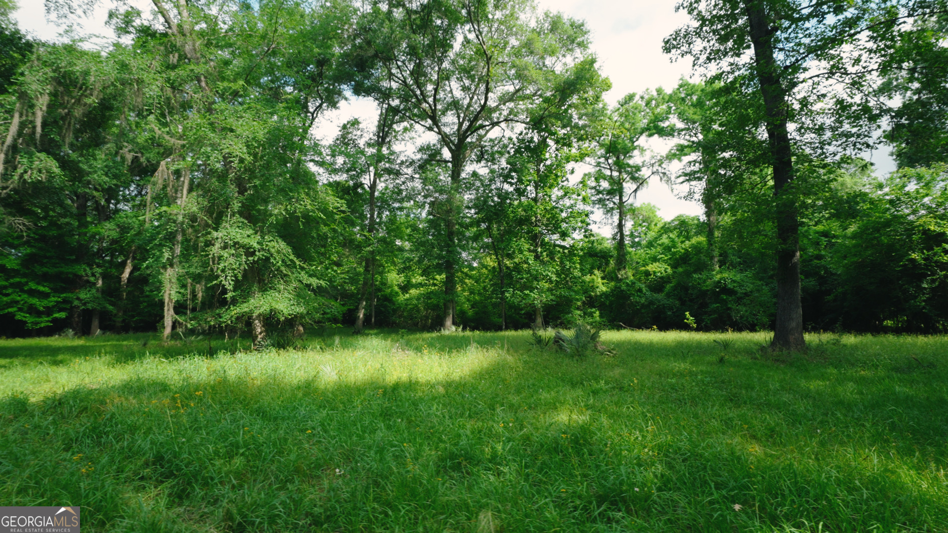0 East River Road Jacksonville, GA 31544 - Photo 4 of 34 a view of green field with trees in the background
