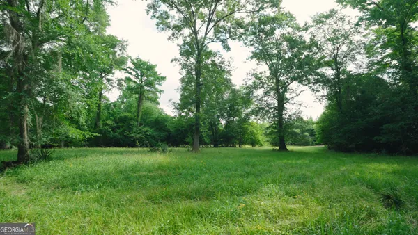 a view of a grassy field with trees in the background