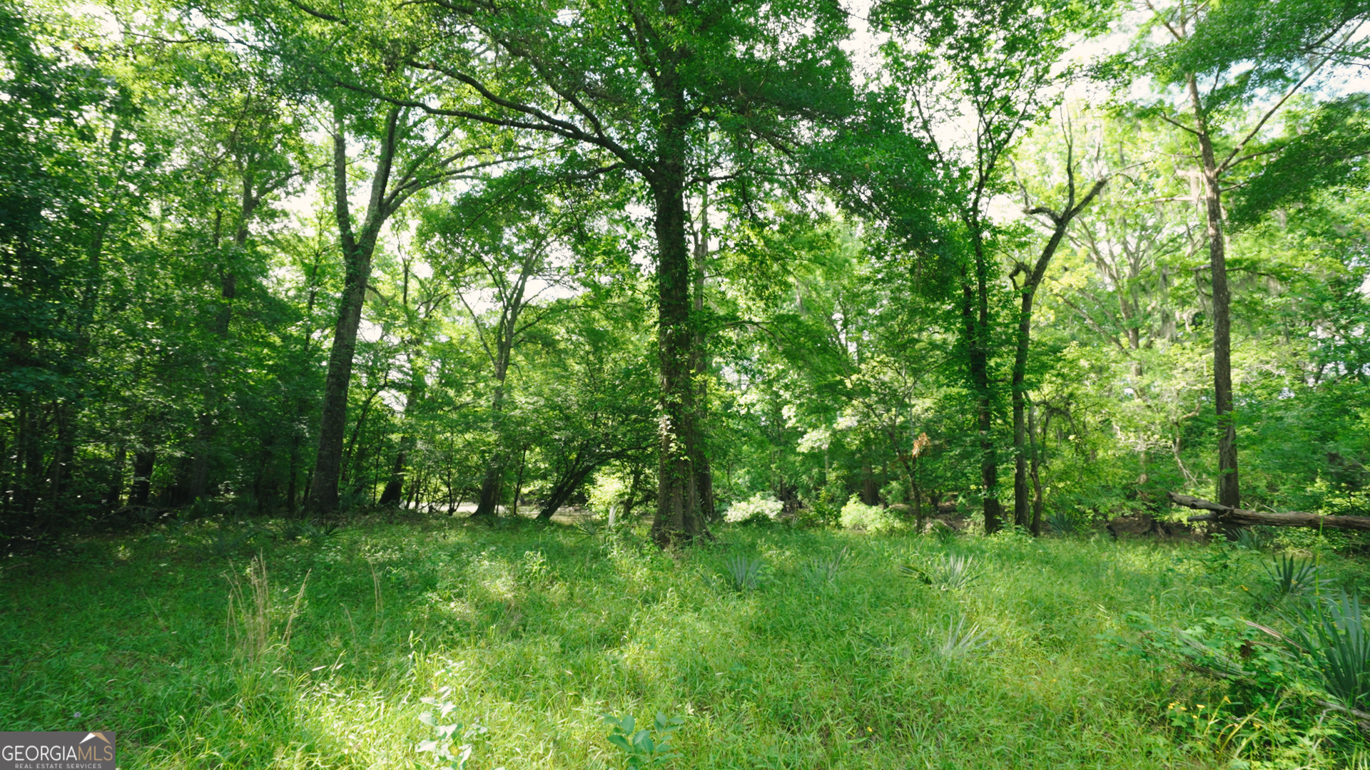 0 East River Road Jacksonville, GA 31544 - Photo 6 of 34 a view of outdoor space and yard