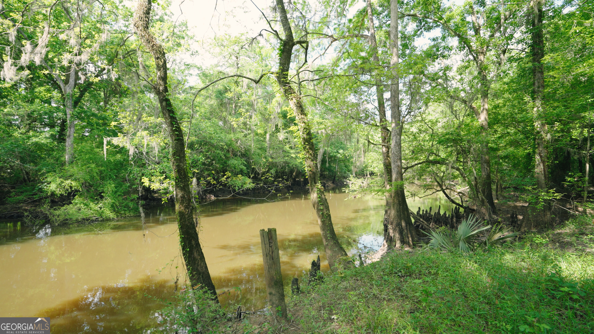 0 East River Road Jacksonville, GA 31544 - Photo 7 of 34 a view of a lake with trees in the background