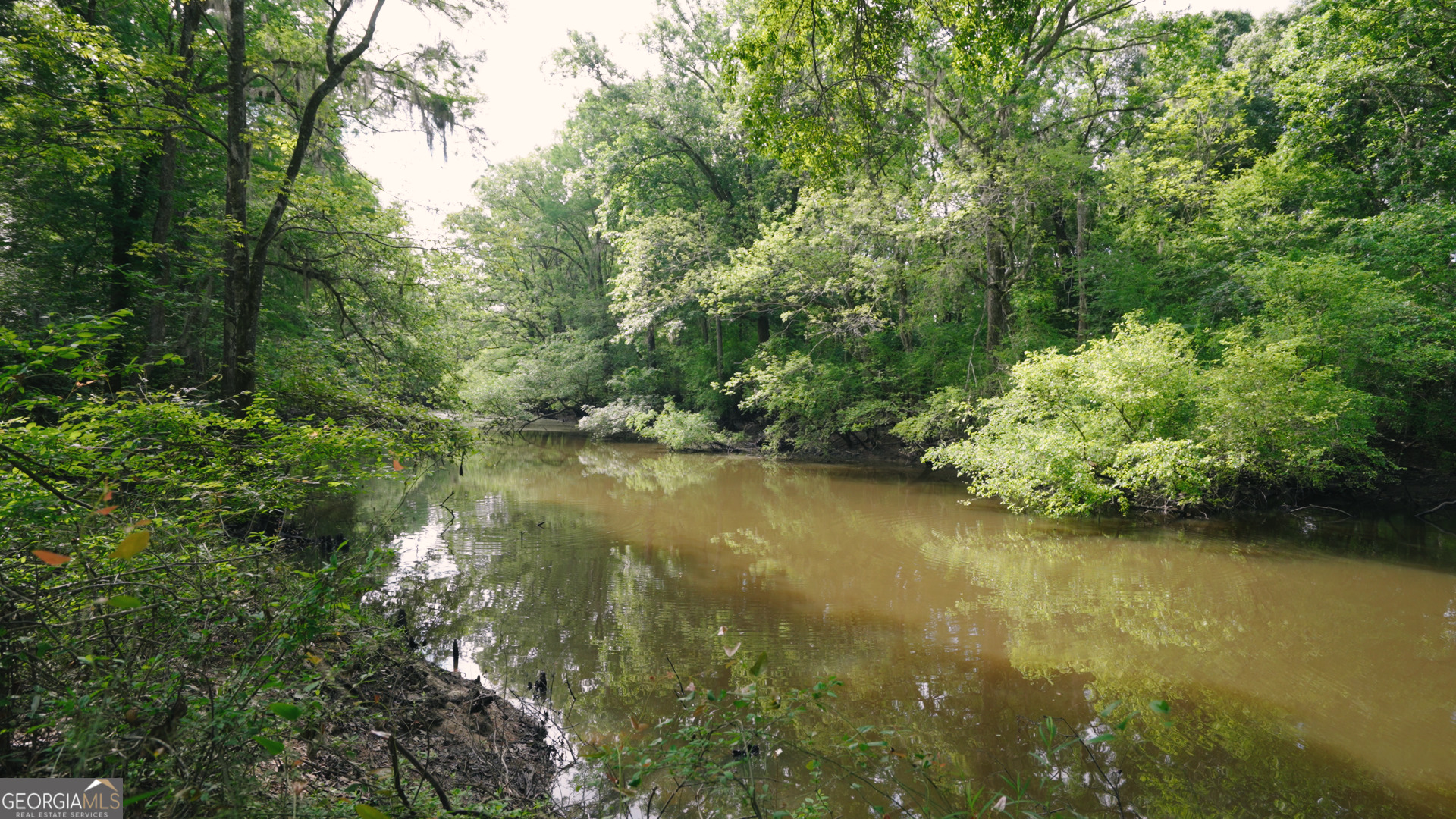 0 East River Road Jacksonville, GA 31544 - Photo 8 of 34