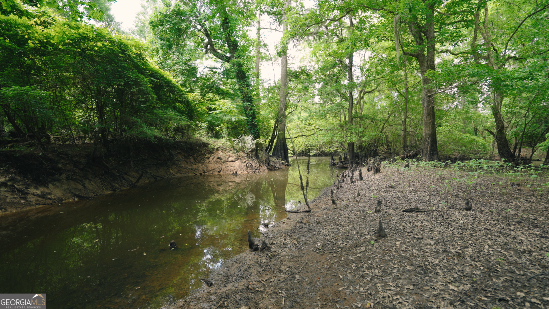 0 East River Road Jacksonville, GA 31544 - Photo 9 of 34 a view of lake with green space