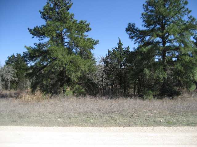 341 Red Rock Ranch Road Red Rock, TX 78662 - Photo 1 of 1 Gallery Image 1