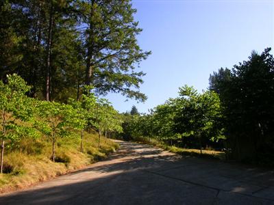 a view of a street view