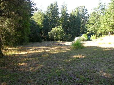 10335 Occidental Road Sebastopol, CA 95472 - Photo 4 of 9 a view of outdoor space with trees all around