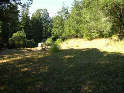 10335 Occidental Road Sebastopol, CA 95472 - Photo 5 of 9 a view of outdoor space and yard