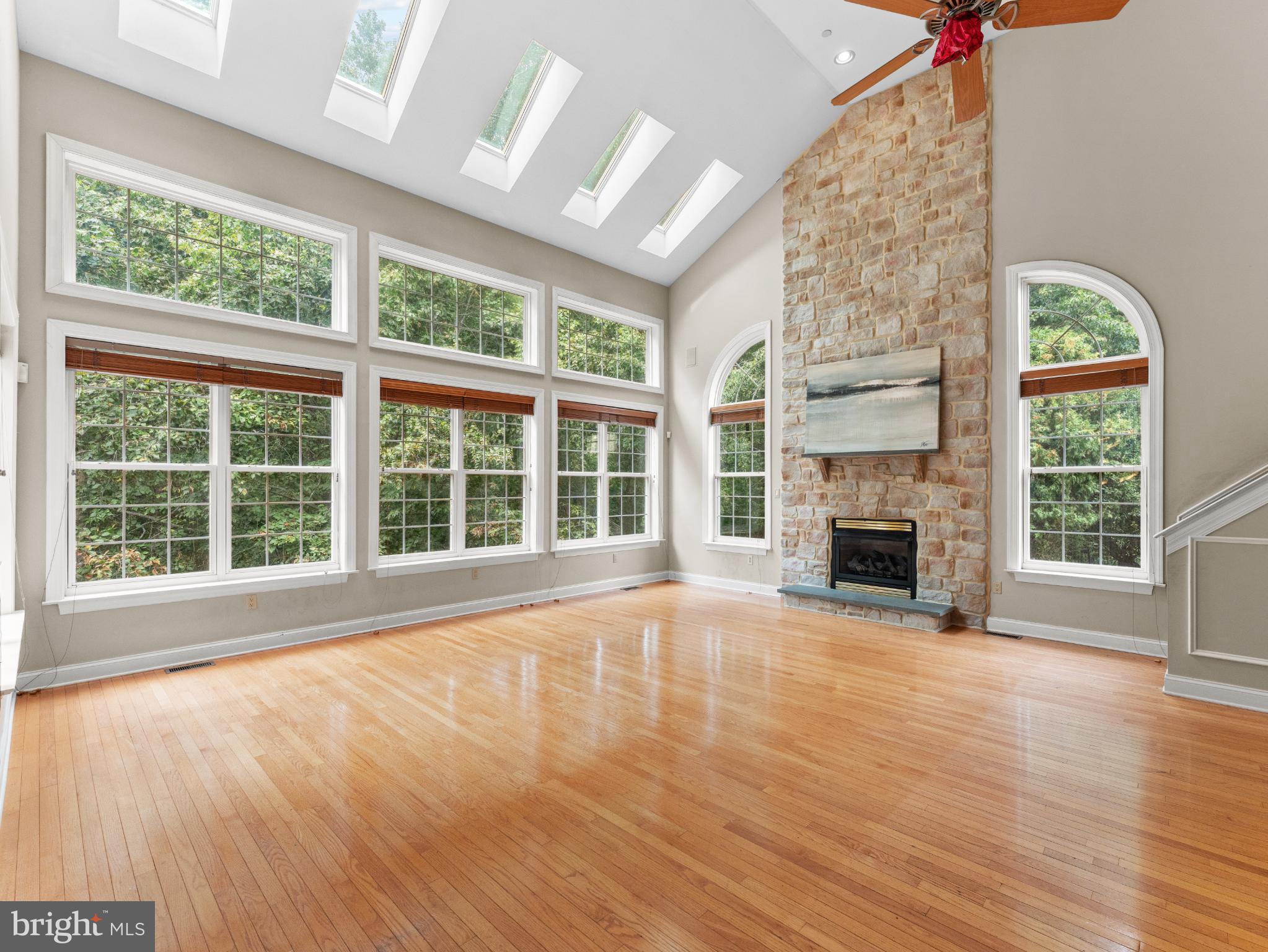 746 Kelli Lane Springfield, PA 19064 - Photo 17 of 41 Sunlit elegance with nature's backdrop.