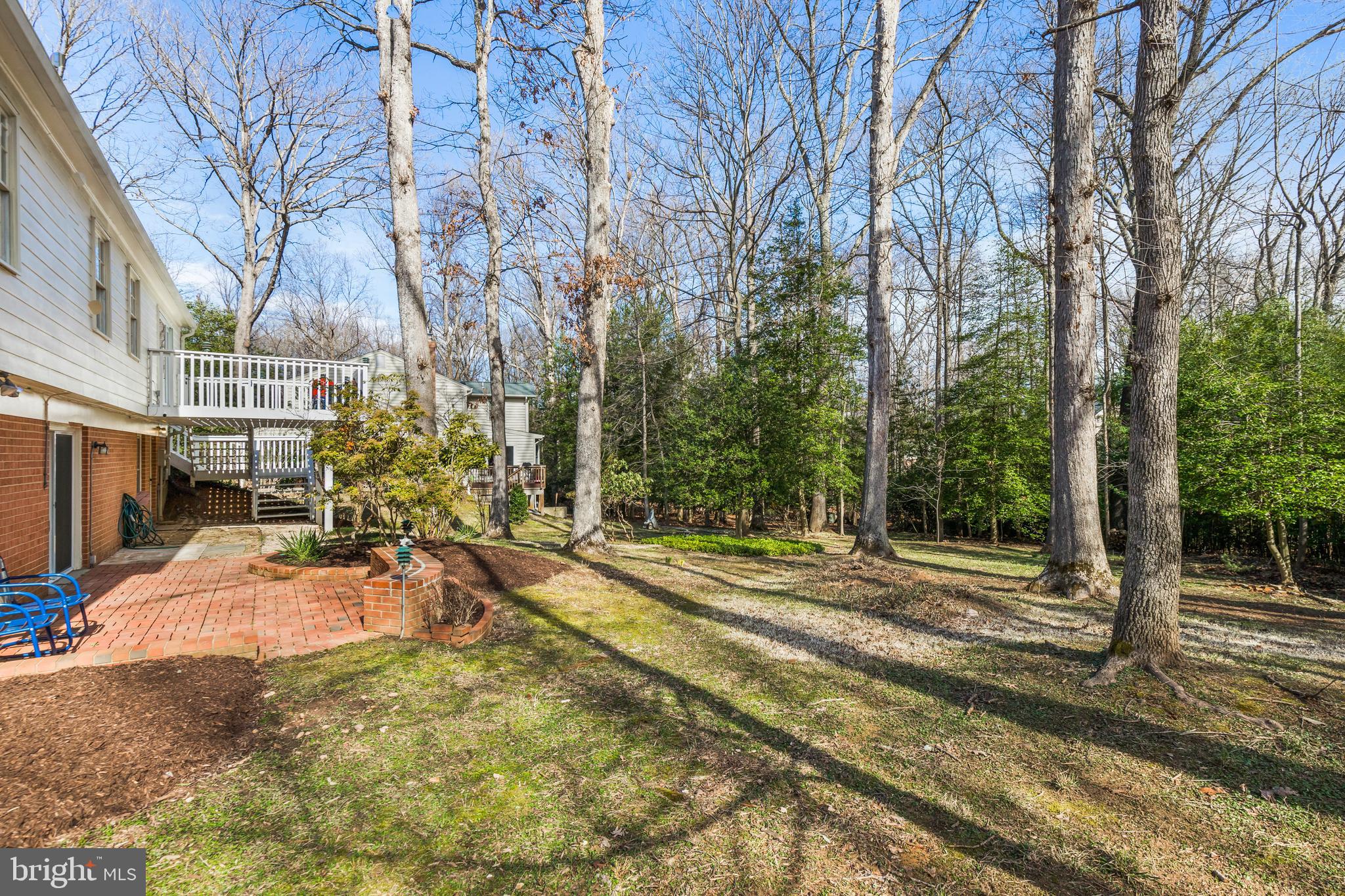 2509 Goldcup Lane Reston, VA 20191 - Photo 41 of 43 Spacious backyard with mature trees
