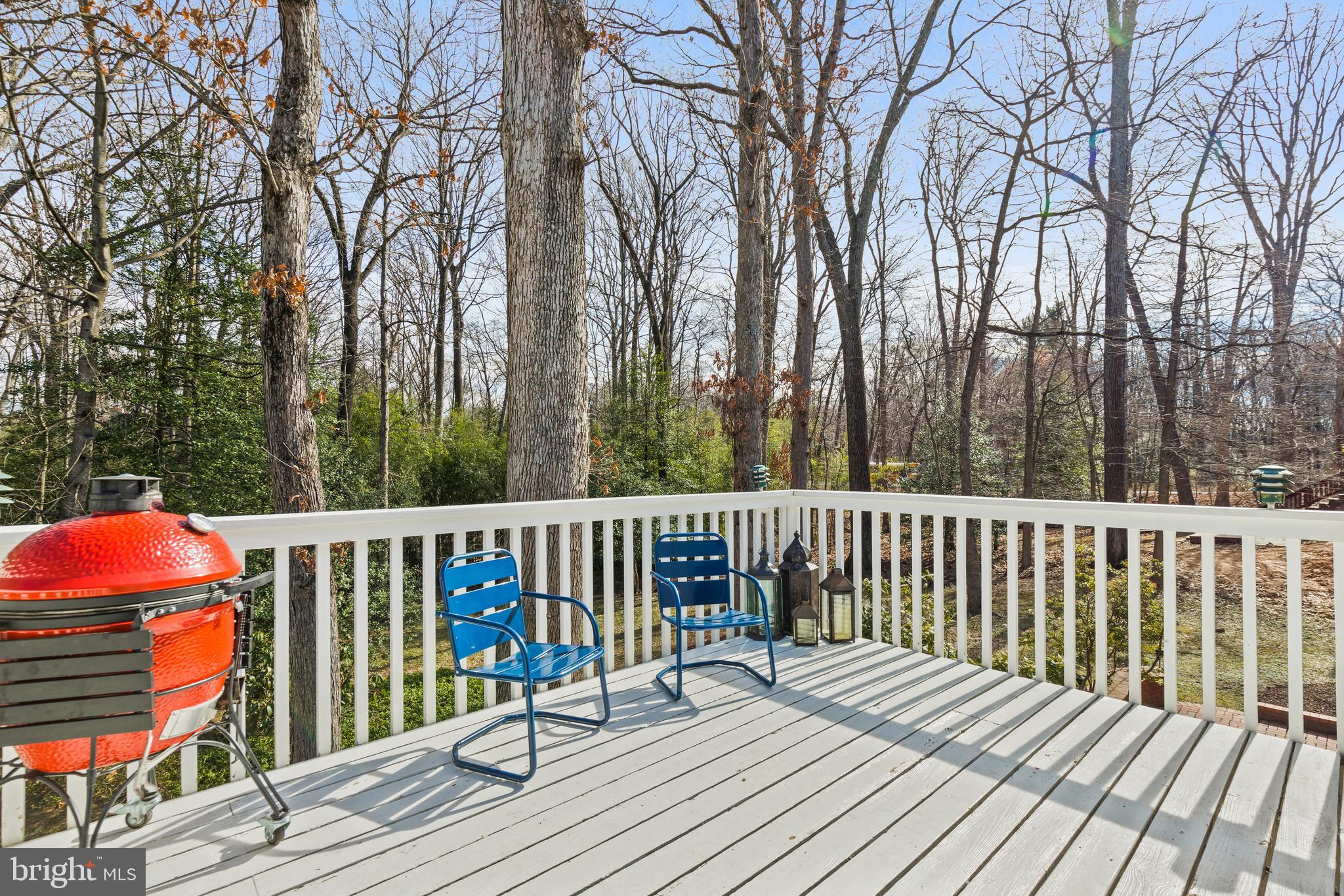 2509 Goldcup Lane Reston, VA 20191 - Photo 9 of 43 Deck