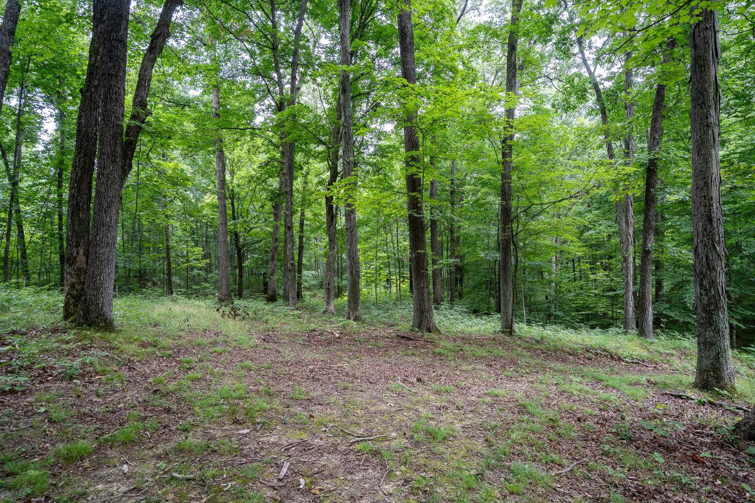 11315 Harlow Road West Bennington, IN 47011 - Photo 15 of 50