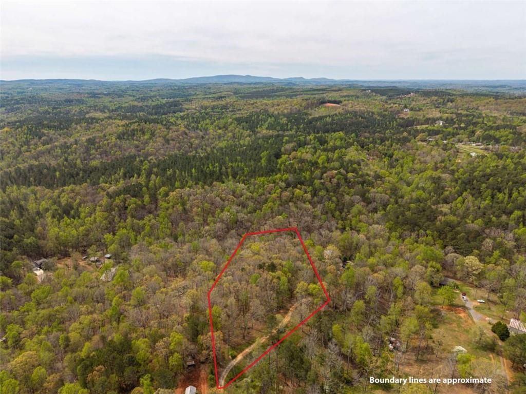3467 Carver Mill Road Talking Rock, GA 30175 - Photo 5 of 23