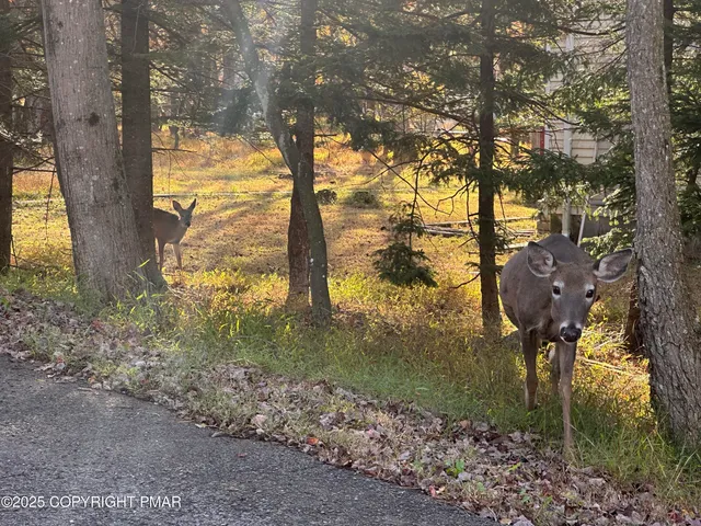 $190,000 | 492 Mountain Road, Albrightsville, PA 18210