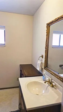 a view of a tree in a yard