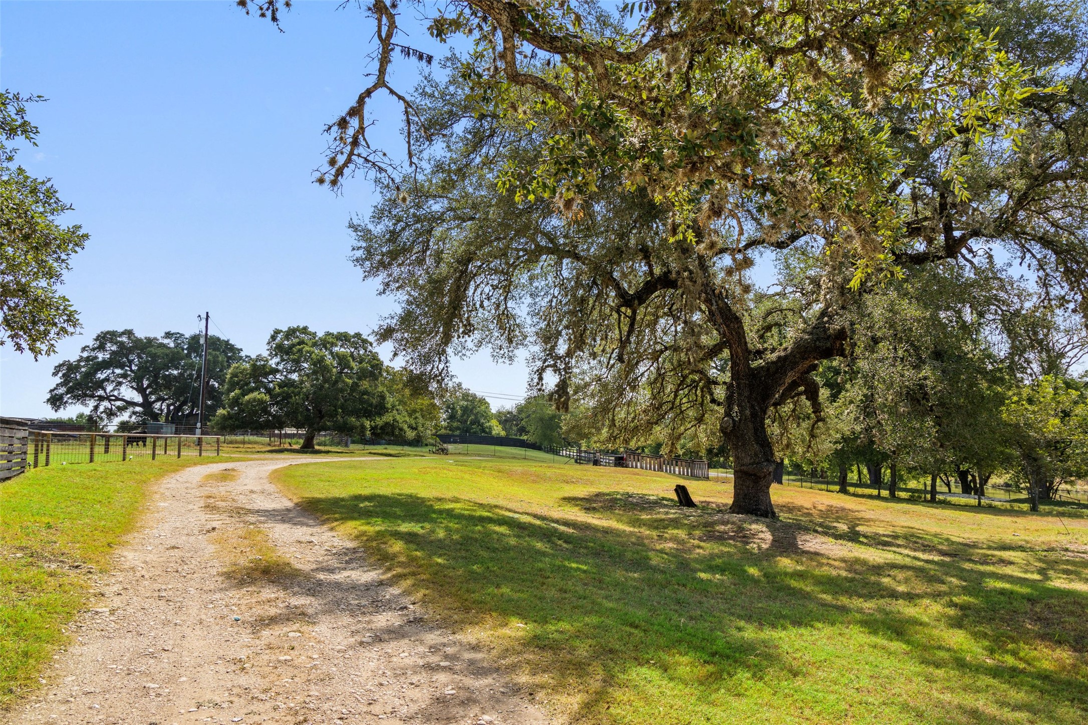 3764 Ranch Road 1623 Blanco, TX 78606 - Photo 25 of 36 Mature shade trees frame a winding dirt road leading through the open, grassy landscape.