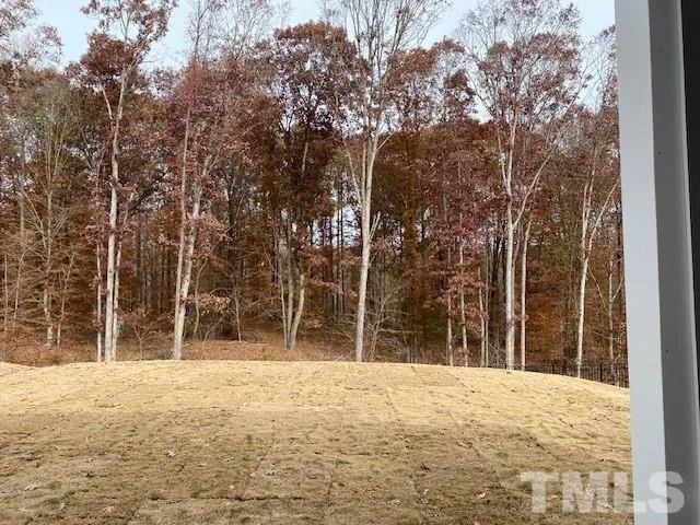 a view of outdoor space with trees
