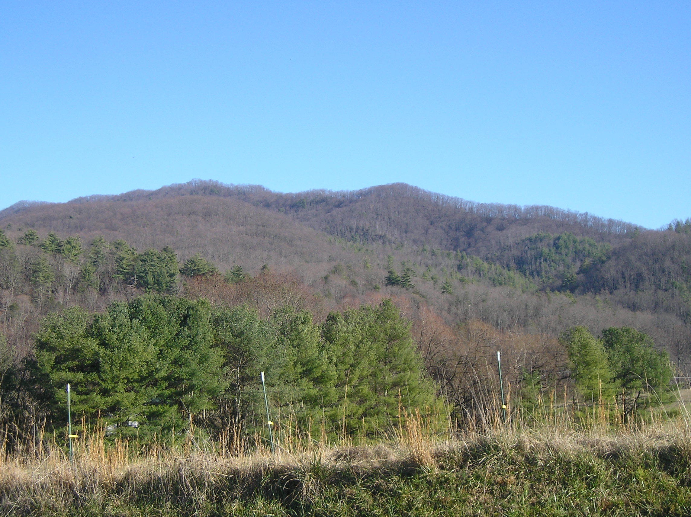 1472 Scioto Road Unicoi, TN 37692 - Photo 30 of 44 P1010012 (4)