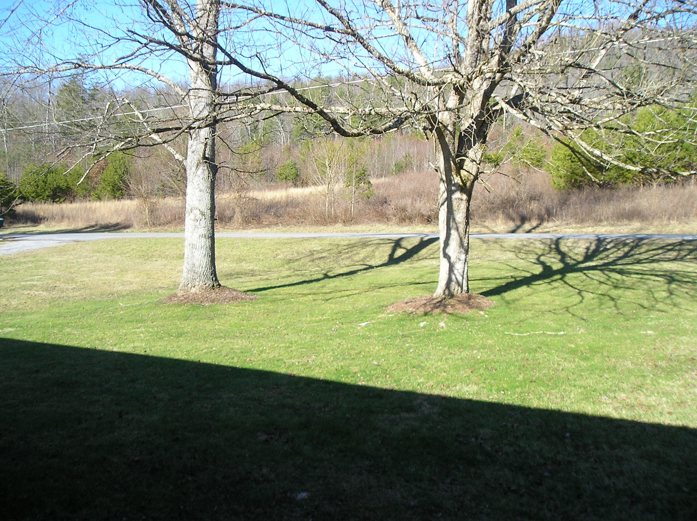 1472 Scioto Road Unicoi, TN 37692 - Photo 37 of 44 P1010053 (3)