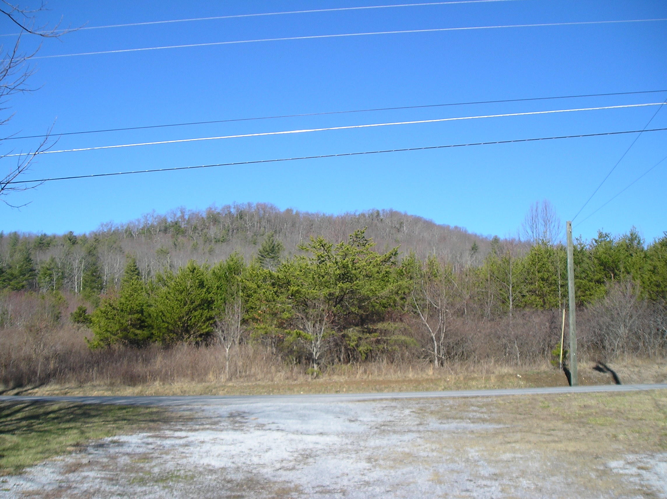1472 Scioto Road Unicoi, TN 37692 - Photo 38 of 44 P1010054 (3)