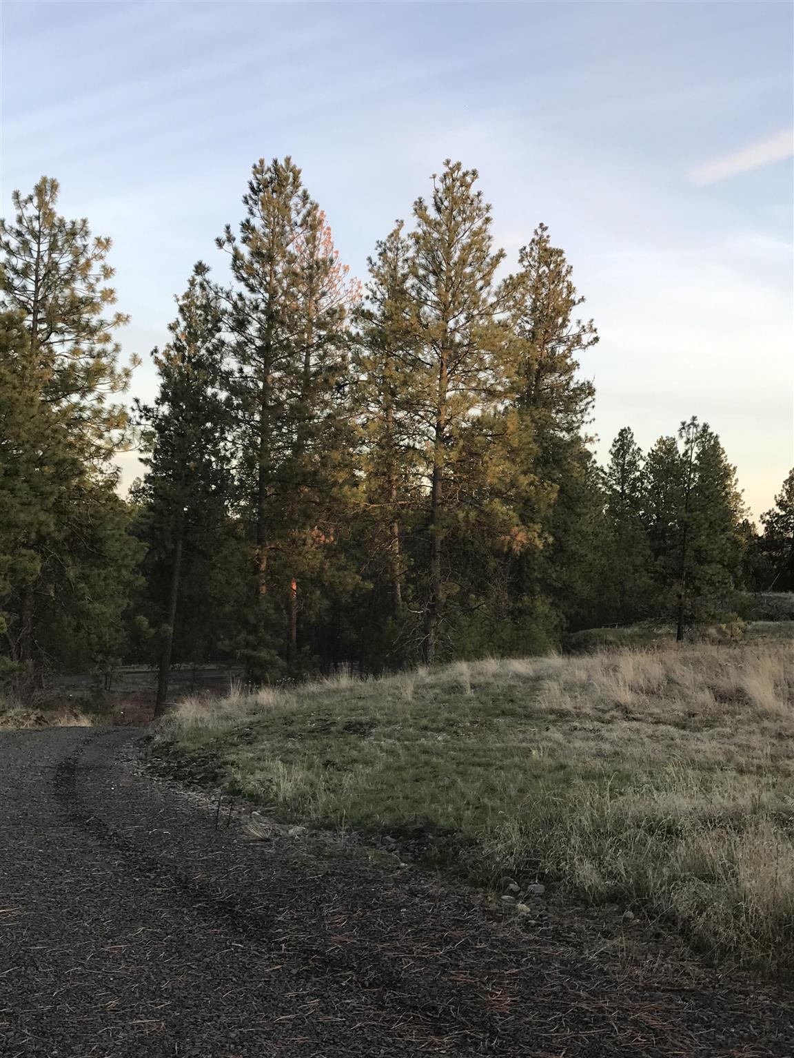 35320 South Long Road Cheney, WA 99004 - Photo 8 of 8