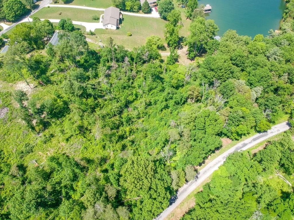 0 Blue Water Trail Spring City, TN 37381 - Photo 26 of 36 Gallery Image 26