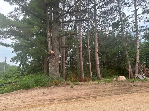 $34,900 | Lot 1-blk Ridgewood Drive, Randall, MN 56475