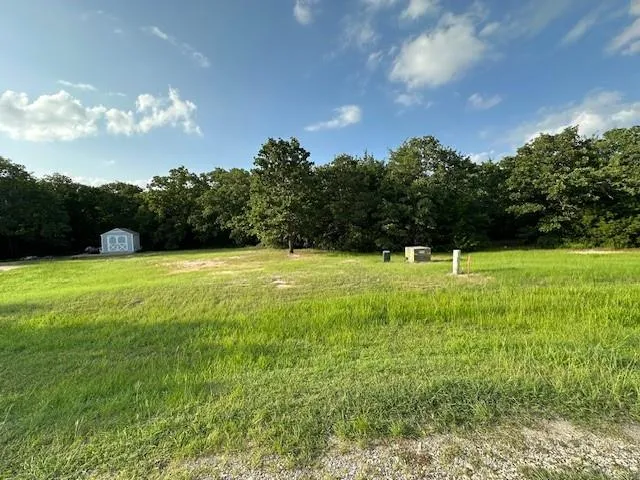 a view of green field with trees in the background