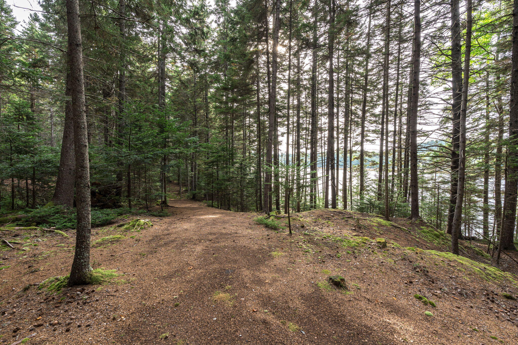 31 Harbor Road Brooksville, ME 04617 - Photo 115 of 126 Gorgeous Trails