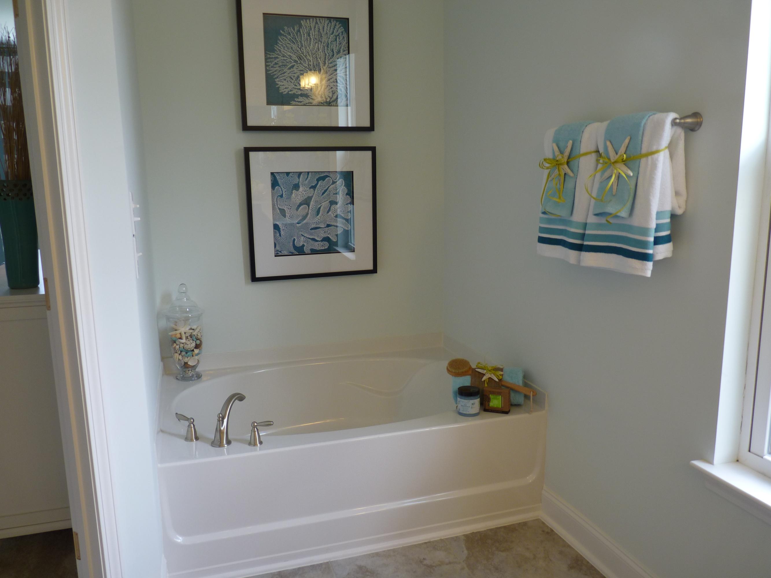 188 Hickory Ridge Way Summerville, SC 29483 - Photo 34 of 46 Master Bath Tub