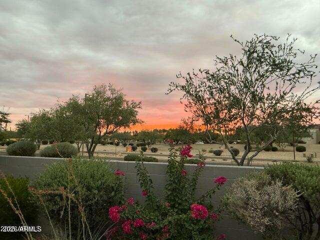 15876 West Alpine Ridge Drive Surprise, AZ 85374 - Photo 31 of 33 community