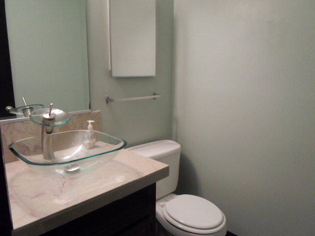 3746 Pine Ridge Run Martinez, GA 30907 - Photo 7 of 13 downstair half bath