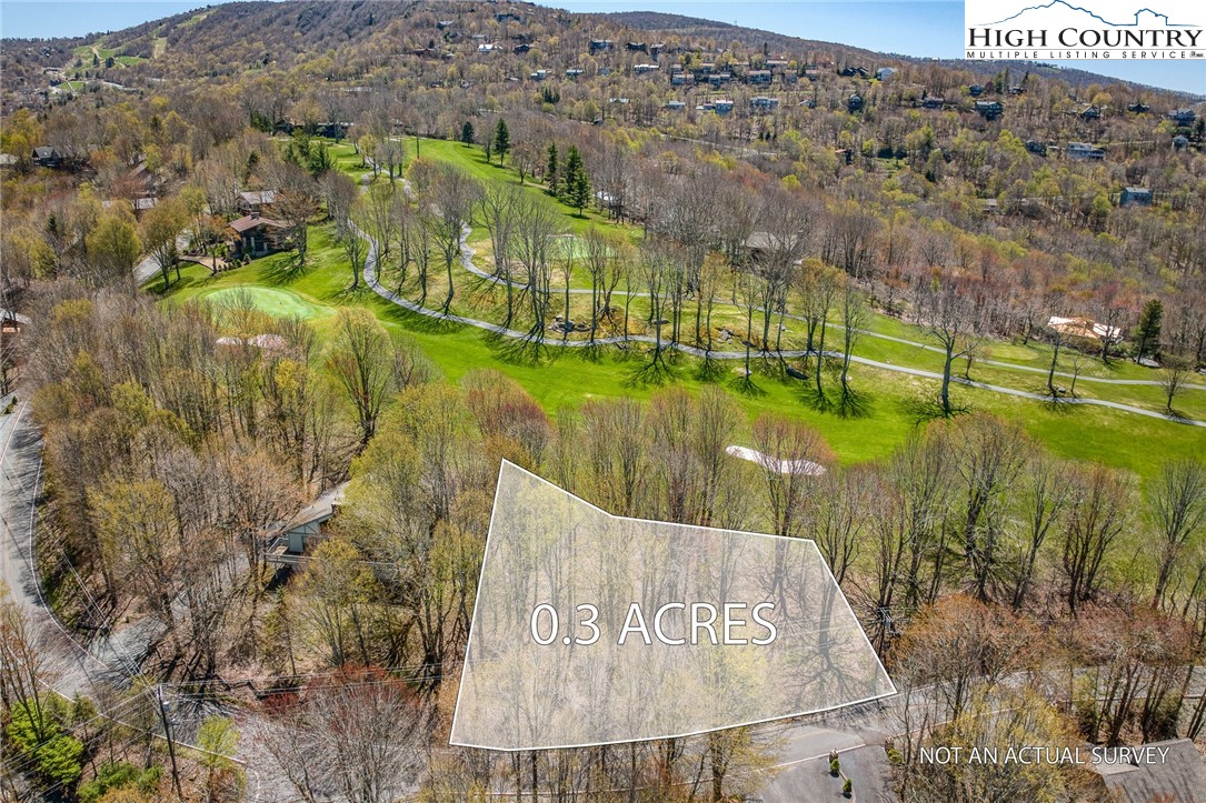 201 Grassy Gap Loop Road Beech Mountain, NC 28604 - Photo 4 of 16 a view of a lake with a yard