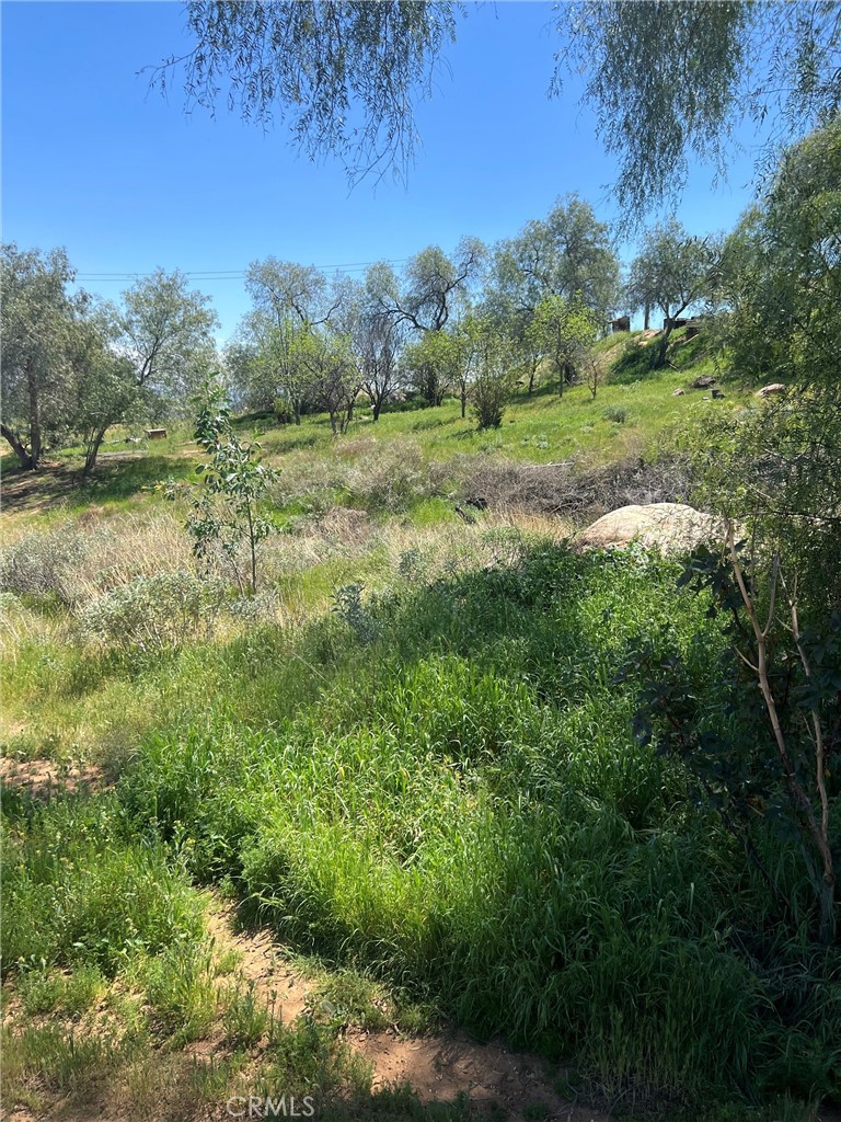 23255 Warren Road San Jacinto, CA 92582 - Photo 52 of 56 a view of a lush green forest with lots of trees
