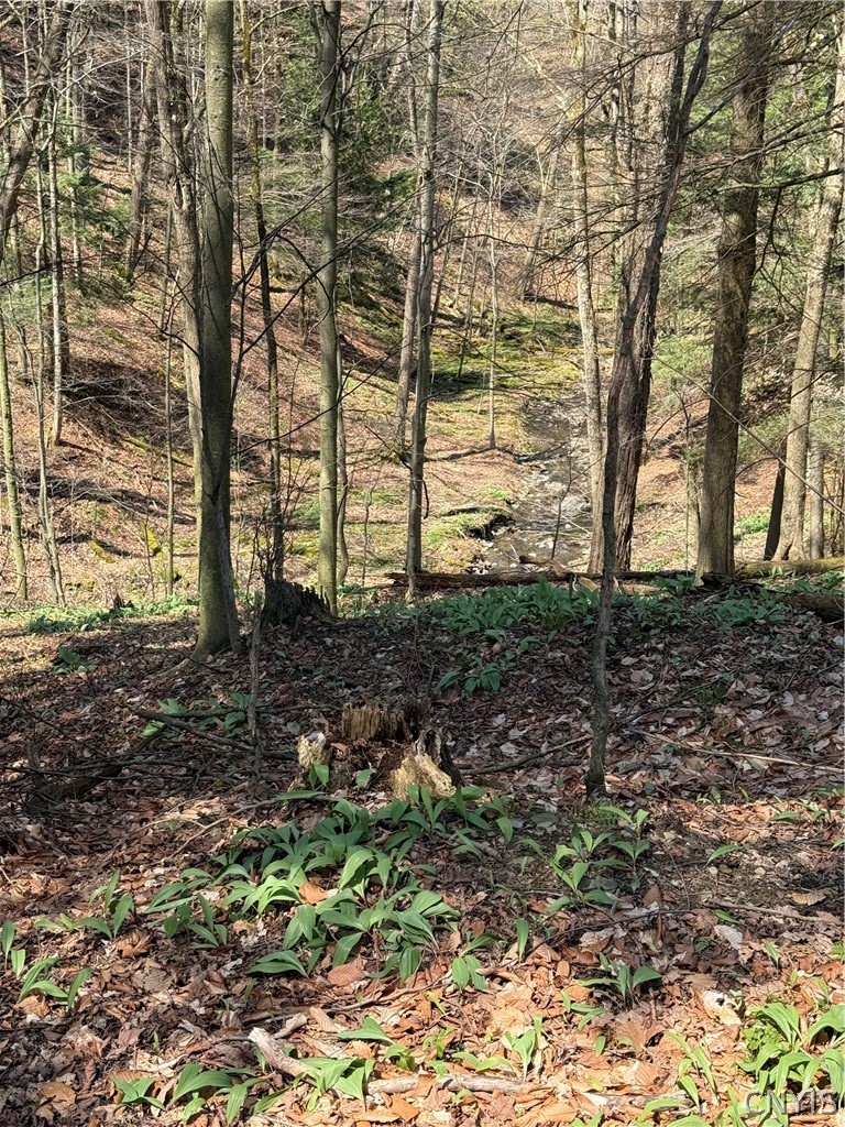 6437 West Scott Road Scott, NY 13077 - Photo 20 of 31