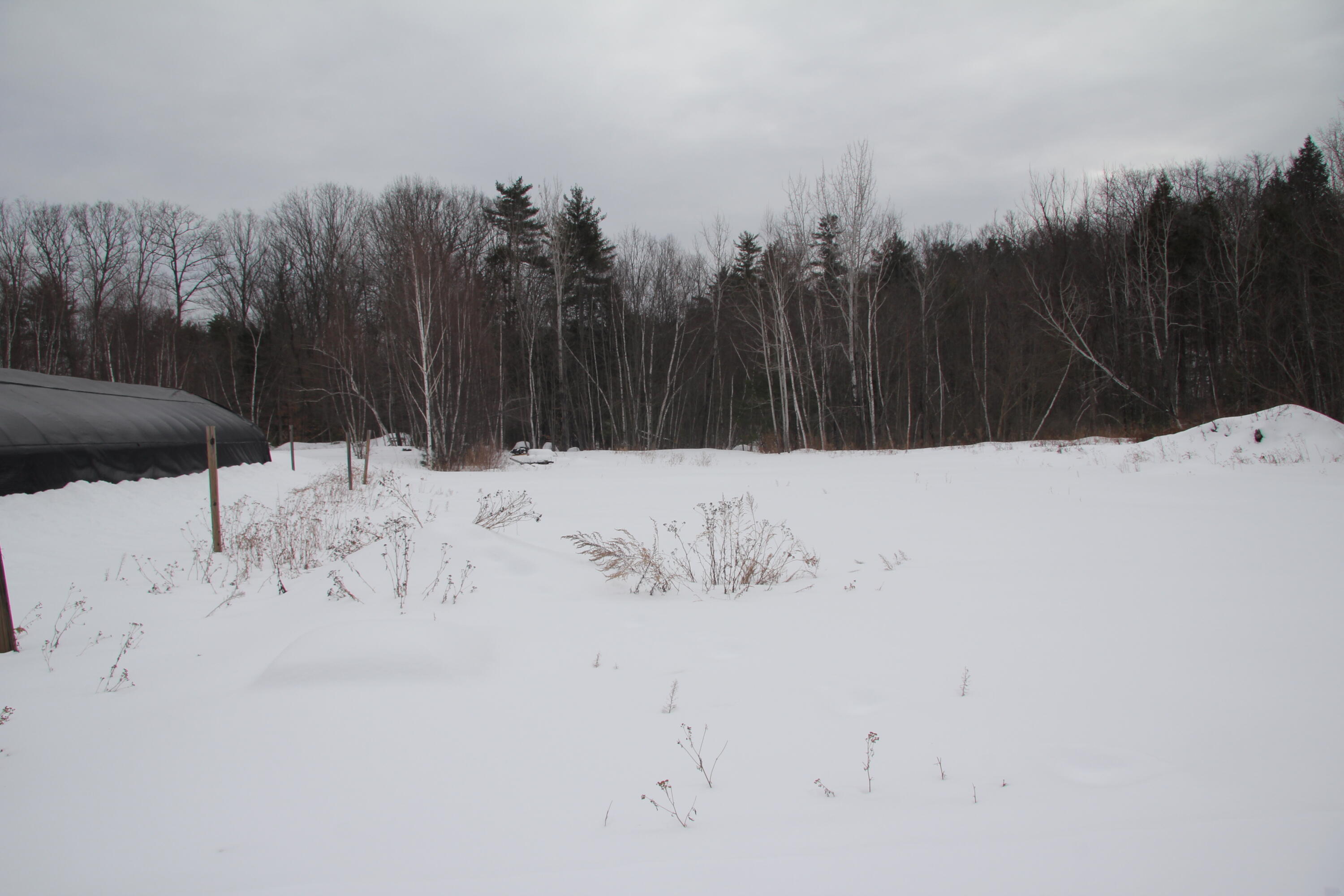 1783 N Road Cornish, ME 04020 - Photo 21 of 34 IMG_5800