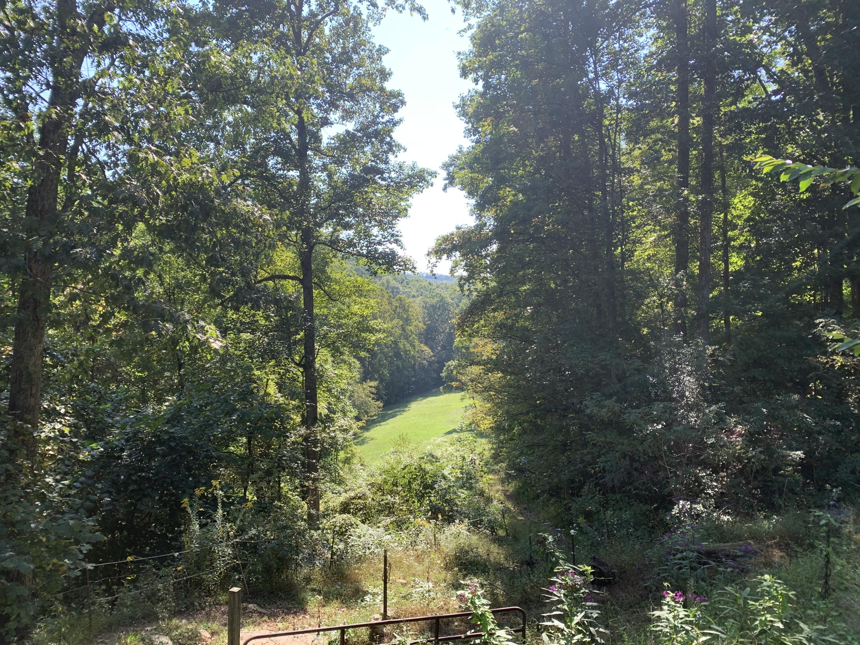 127 Jones Frazier Road Stanton, KY 40380 - Photo 22 of 25 089CC3D4-3C21-400A-A896-ED40698259CB