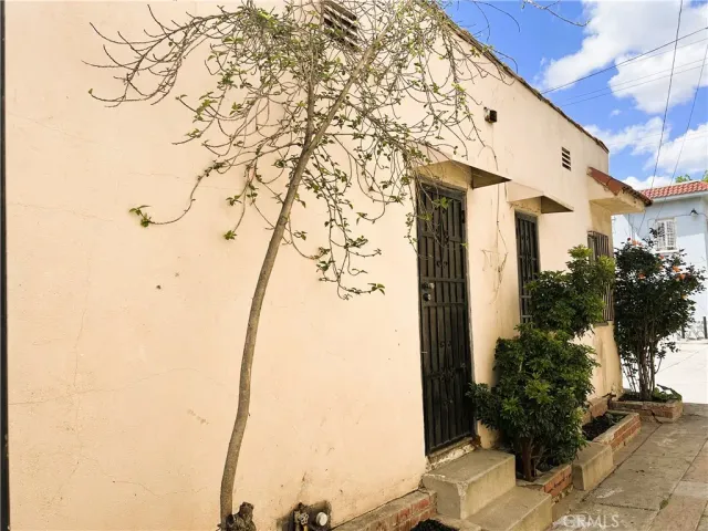 a view of a yard with plants