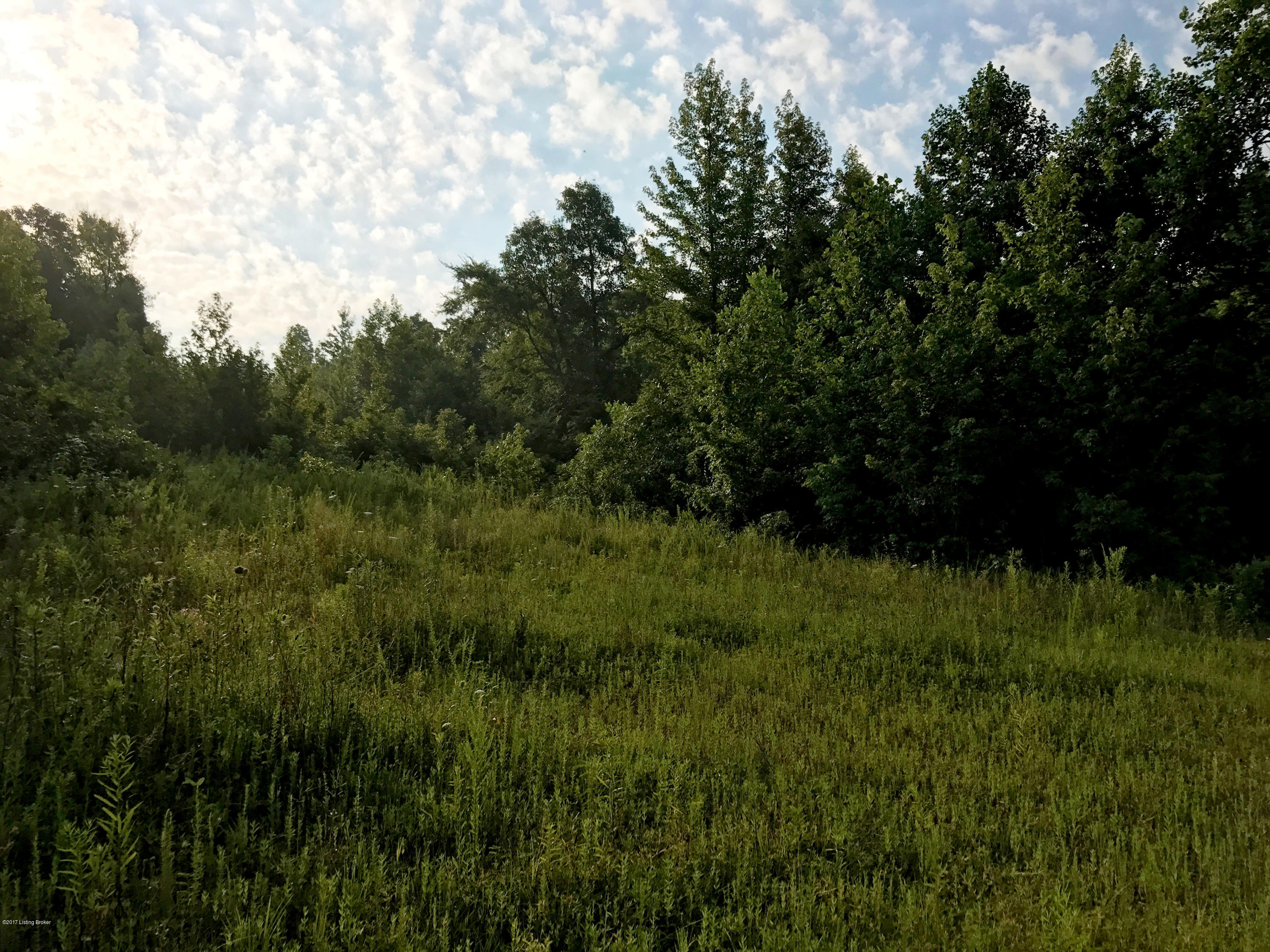289 Hooper Barton Road Leitchfield, KY 42754 - Photo 20 of 29 3d