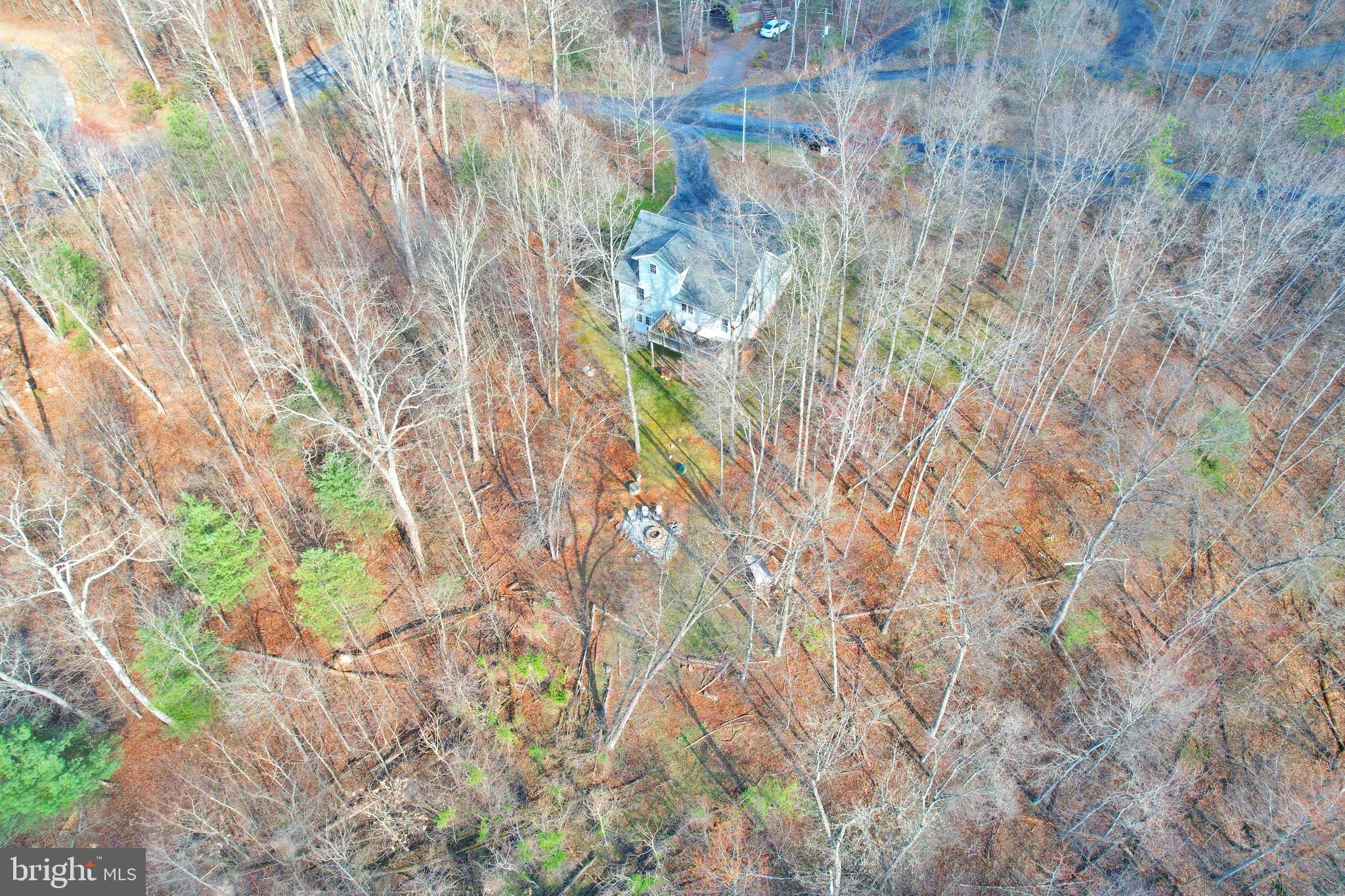 36 Pine Way Mount Jackson, VA 22842 - Photo 11 of 49 a close up of a plant in a garden