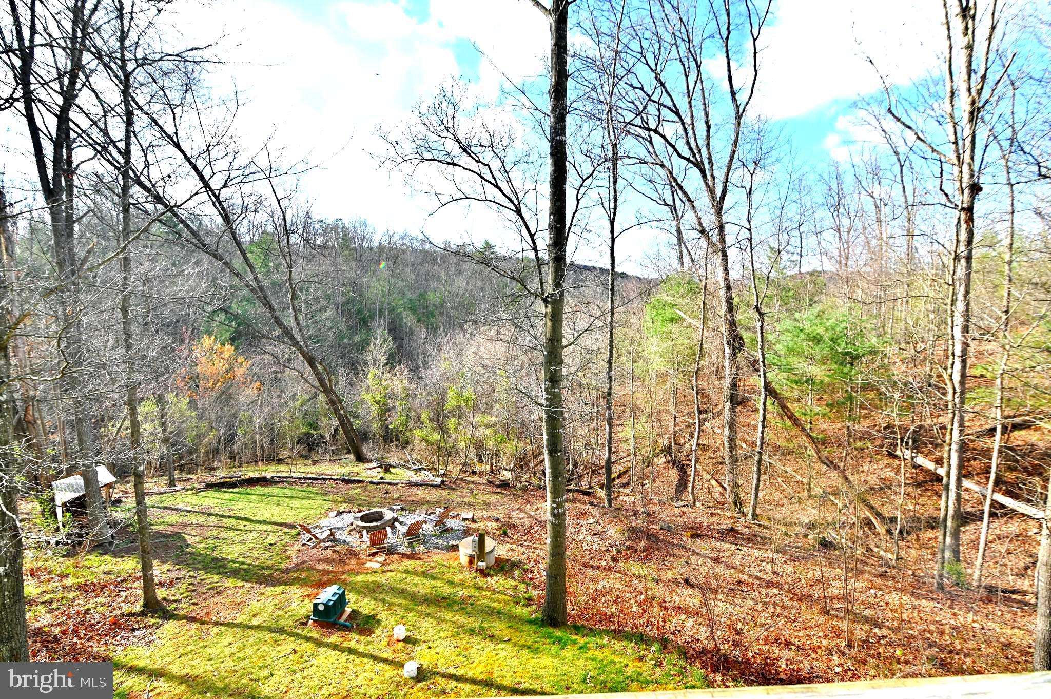 36 Pine Way Mount Jackson, VA 22842 - Photo 14 of 49 a view of yard with tree