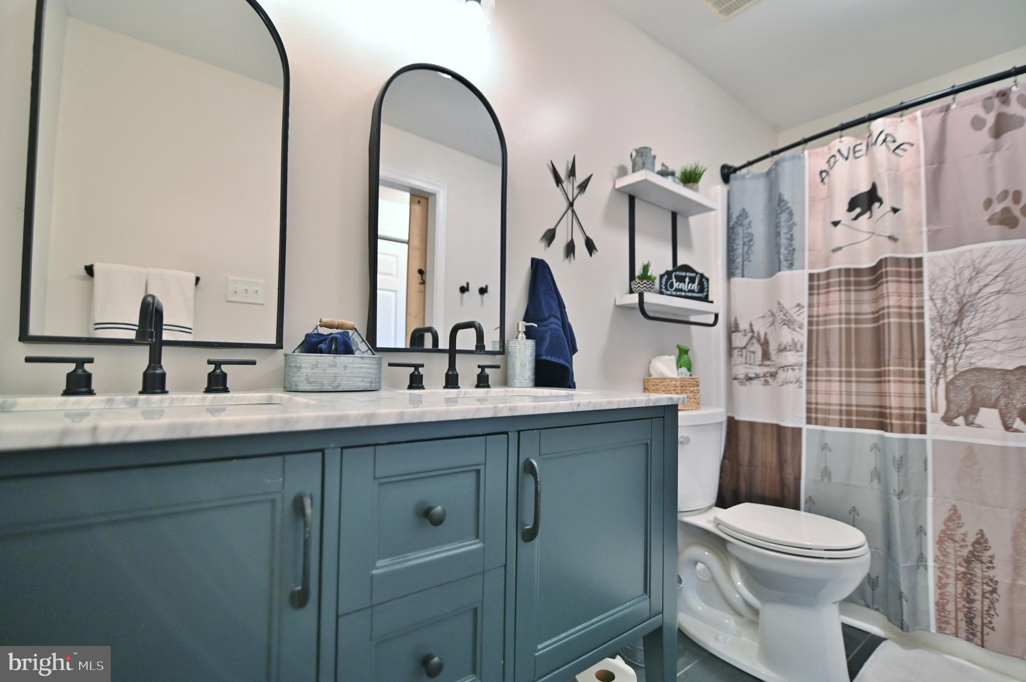 36 Pine Way Mount Jackson, VA 22842 - Photo 38 of 49 Ensuite Bathroom