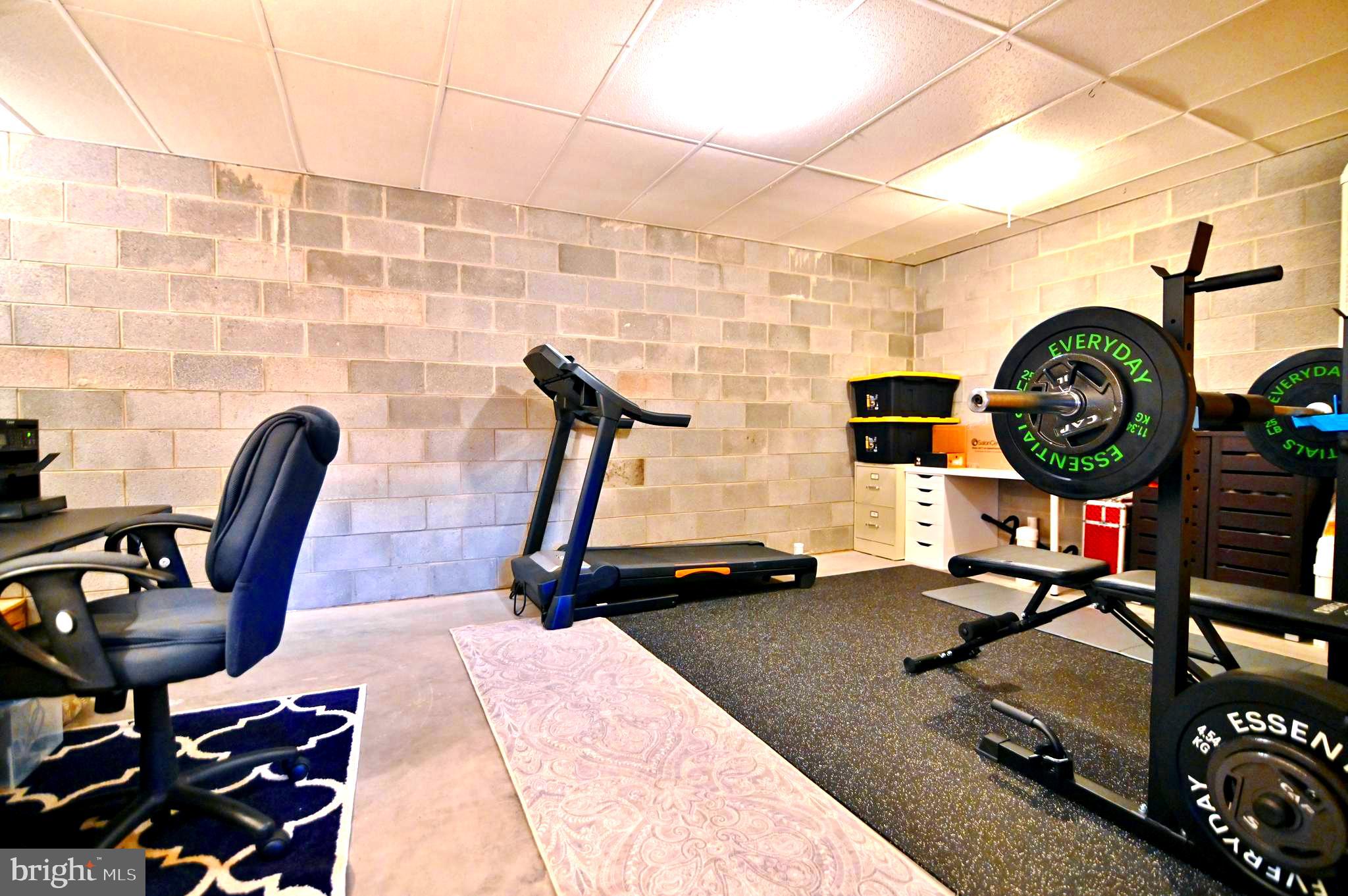 36 Pine Way Mount Jackson, VA 22842 - Photo 47 of 49 Basement