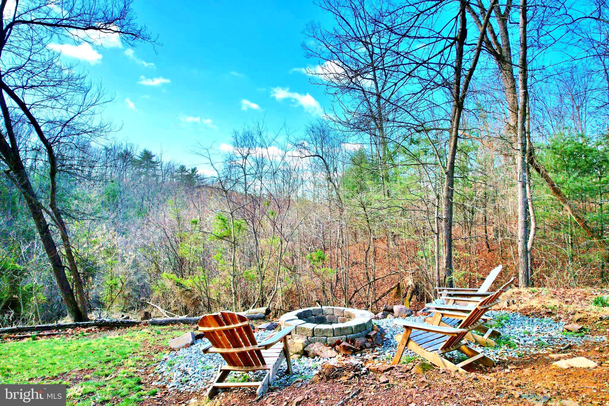 36 Pine Way Mount Jackson, VA 22842 - Photo 5 of 49