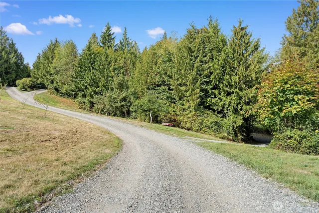 a view of a large yard with lots of green space