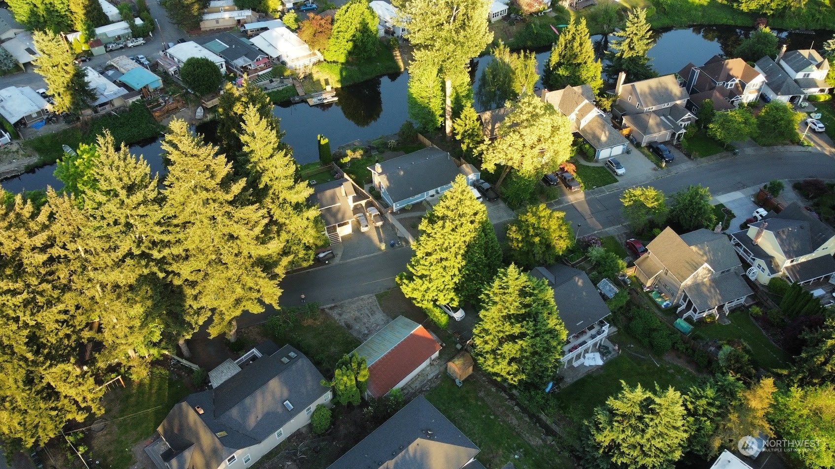 17511 113th Avenue Northeast Bothell, WA 98011 - Photo 7 of 14 a view of banana tree