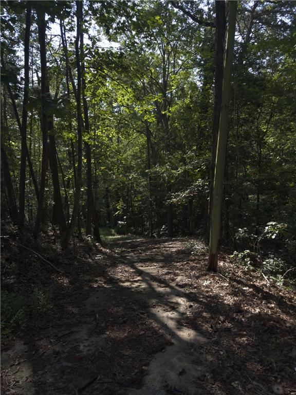 3746 Leach Road Gainesville, GA 30506 - Photo 2 of 12