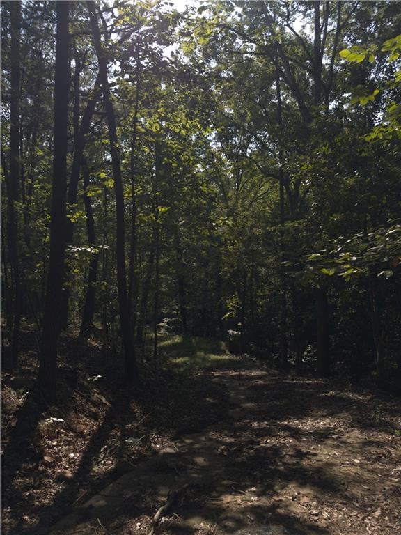 3746 Leach Road Gainesville, GA 30506 - Photo 3 of 12