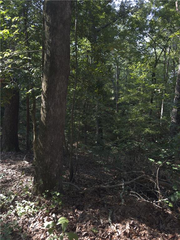 3746 Leach Road Gainesville, GA 30506 - Photo 4 of 12